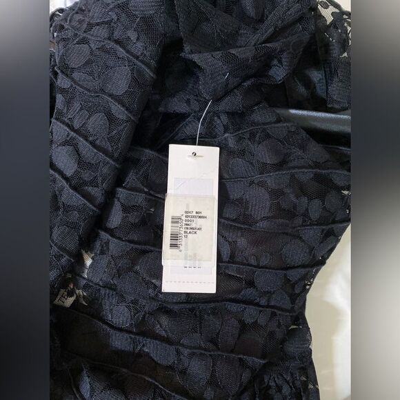 Teri Jon by Rickie Freeman Lace Pintuck Dress size 12 - Picture 10 of 11